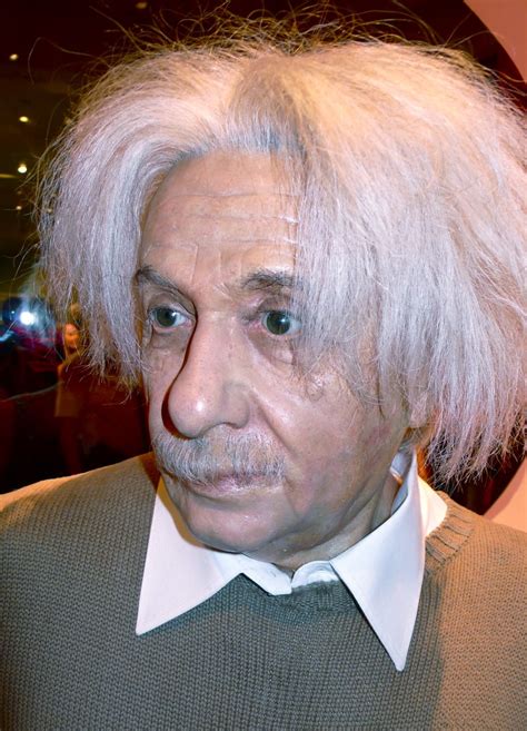 Albert Einstein Wooly Matt Flickr