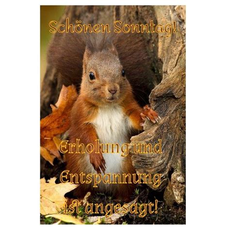 Der sonntag (althochdeutsch sunnun tag oder frônotag „herrentag; Schönen Sonntag guten morgen bilder 44 - GBPicsBilder.com