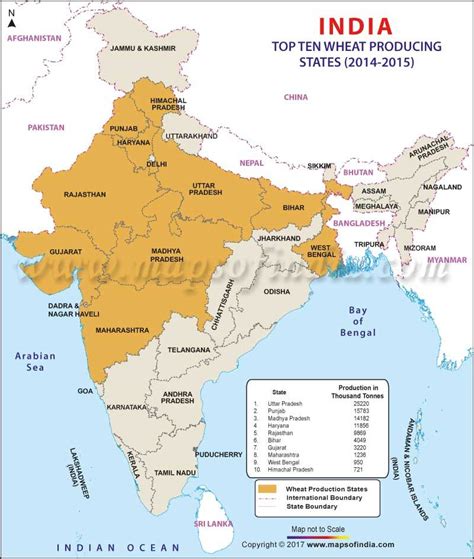Map Of Top 10 Wheat Producing States Of India Geography Map Physical