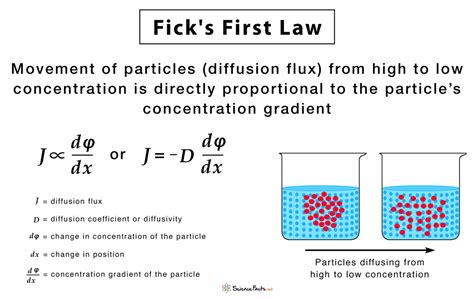 Ficks Laws Of Diffusion Formulas Equations And Examples