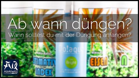 Eine pflanze tritt in die wachstumsphase (auch was trichome sind und wie sie diesem prozess folgen können, können sie in diesem umfangreichen blog lesen: Ab wann sollst du düngen? | AquaOwner - YouTube