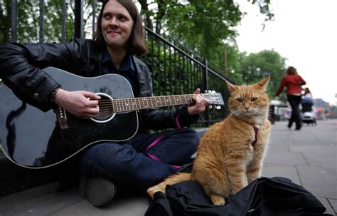 A Street Cat Named Bob Your London Pet Sitter