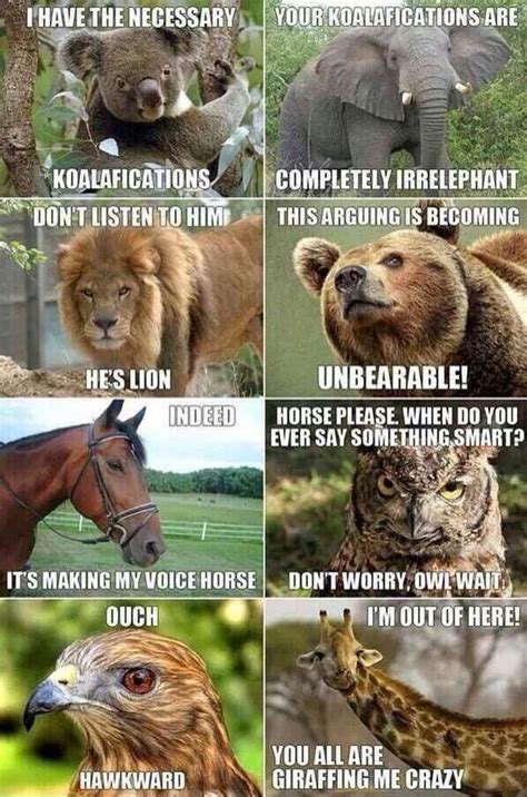 45 Hilarious Animal Puns Punstoppable 🛑