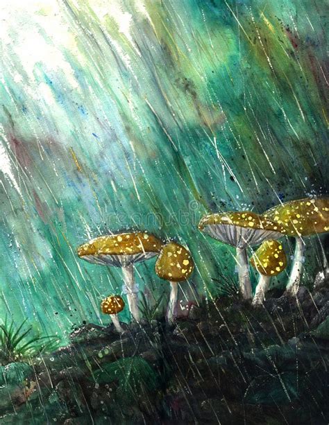 Mushrooms In The Rain Watercolor Painting Of Rain Splashing Down On