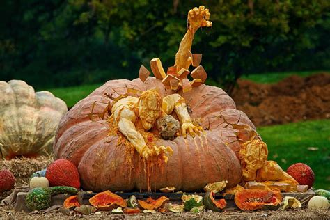 World Renowned Artist Carves Pumpkin Garden In Carefree