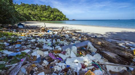 Two Remote Islands Are Overflowing With Plastic Peoplehype