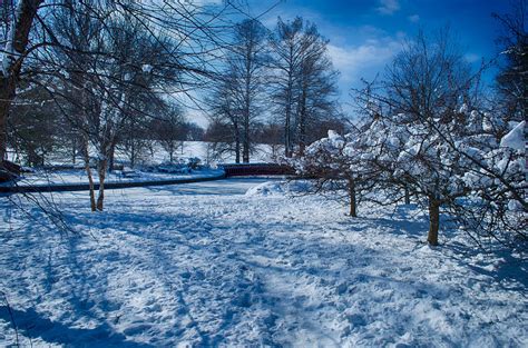04 Kansas City Winter In Loose Park Photograph By John Diebolt Fine