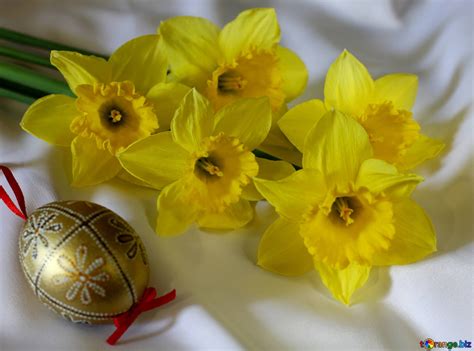 Easter Bouquet Of Daffodils Happy Easter Pink Lettering №170083