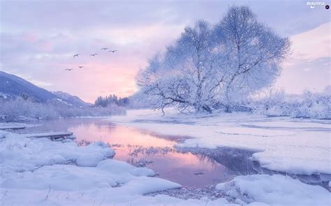River Mountains Birds Frosty Viewes Sunrise Winter