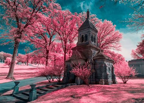 Infrared Photography Getting More Color From Your 720nm Filter