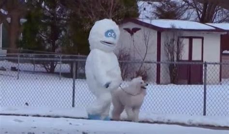 Wisconsin Woman Walks Dog Dressed As Abominable Snowman Yes Really Video