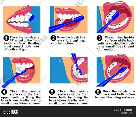How Clean Teeth Surfaces Human Image And Photo Bigstock