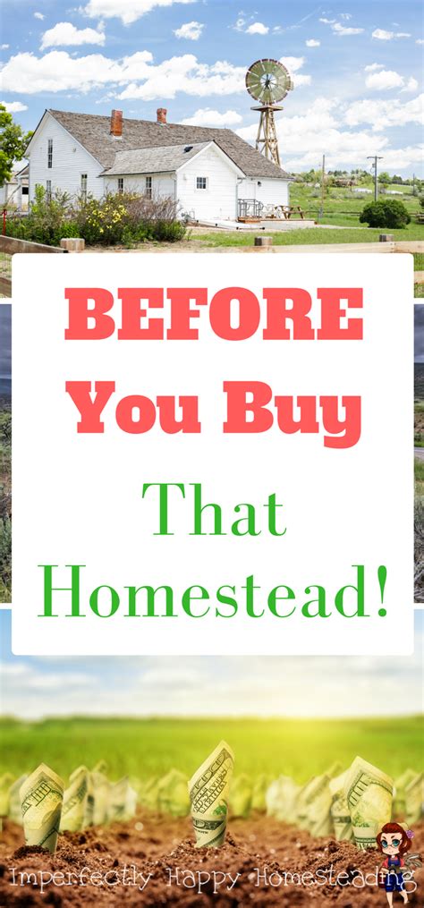 Are You Really Ready To Buy Your First Homestead 17 Things To Consider