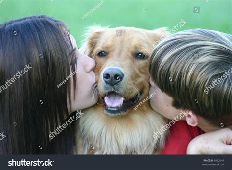 Two Kids Kissing Golden Retriever Foto Stock 3062644 Shutterstock