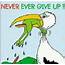 Never Give Up  Funny Quotes Pictures