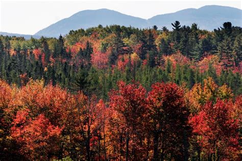 Fall Foliage How Will The Weather Affect Your Leaf Peeping This Year