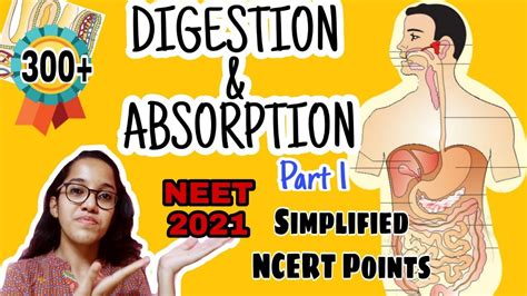 Digestion And Absorption Ncert Points Simplified Short Notes Neet