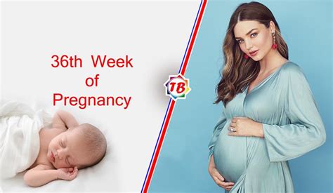 Thirty Sixth Week Of Pregnancy What Are The Symptoms Of 36th Week Of
