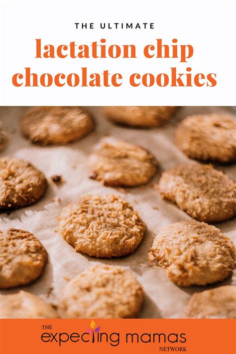 The Best Chocolate Chip Lactation Cookie Recipe To Make Today In 2020