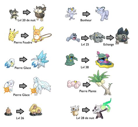 Soleillune Les Niveaux Dévolution Des Pokémon 7g