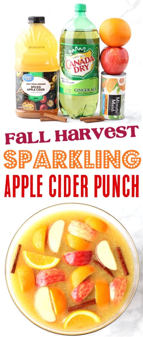 Sparkling Apple Cider Punch Recipe 4 Ingredients The Frugal Girls Artofit