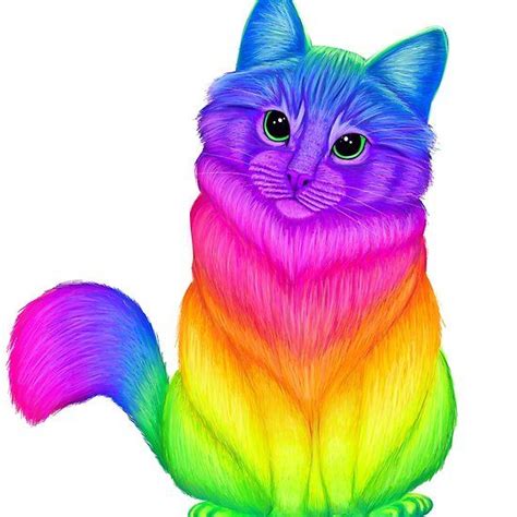 Neon Rainbow Cat Rainbow Cat Cat Colors Cute Animals