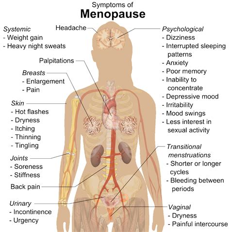 Address Symptoms Of Menopause With Holistic Treatments Healthynewage