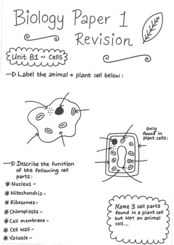 Biology B1 Revision Workbook Teaching Resources