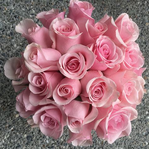 Pink Rose Study With Amato Wholesale Flirty Fleurs The Florist Blog