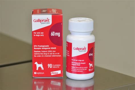 Galliprant For Osteoarthritis In Dogs Evesham Veterinary Clinic