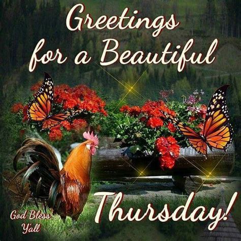 Greetings For A Beautiful Thursday Pictures Photos And Images For