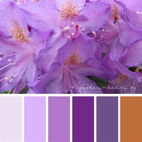 Azalea Color Palette By Garden Designbg Colors Colorpalette Azalea