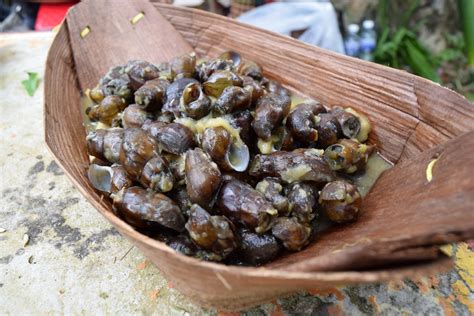 Tribal Food Served In Crafted Sago Bowl Backyard Tour