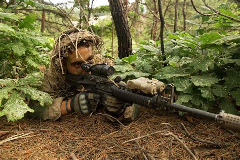 Us Marine Scout Sniper Provides Photograph By Stocktrek Images