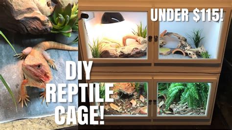 See more ideas about bearded dragon, bearded dragon enclosure, bearded dragon cage. How To Build Your Own Reptile Enclosure! | Perfect for ...