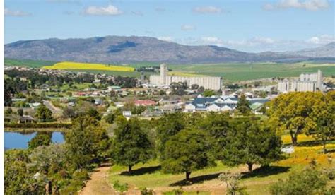 Overberg District Information And Towns Hermanus Magazine