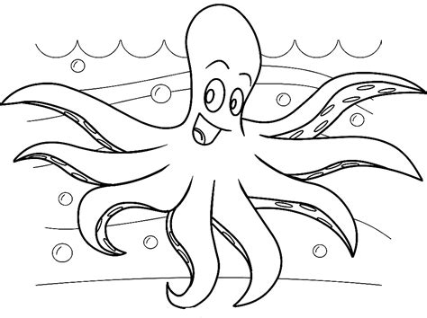 Dibujos para colorear animales de mar