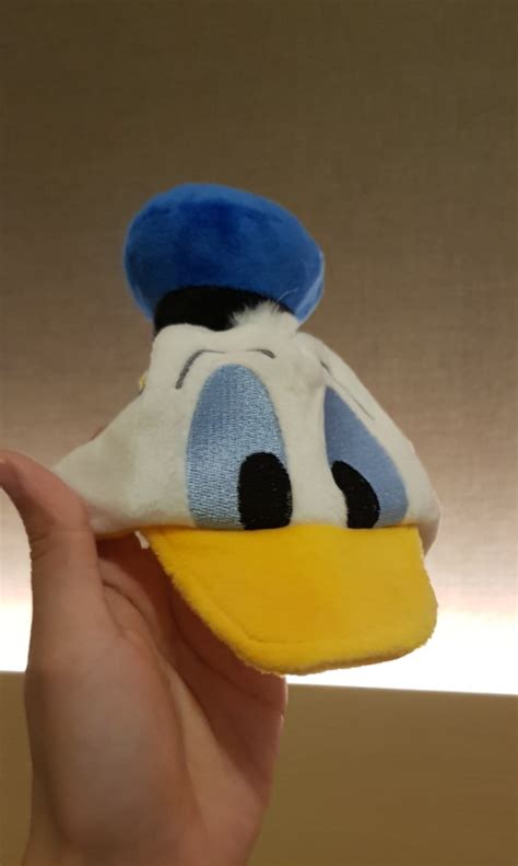 Topi Anjing Donald Duck Asli Disney Perlengkapan Hewan Aksesoris