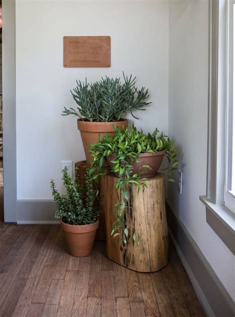37 Diy Indoor Plant Display Ideas Besthomish