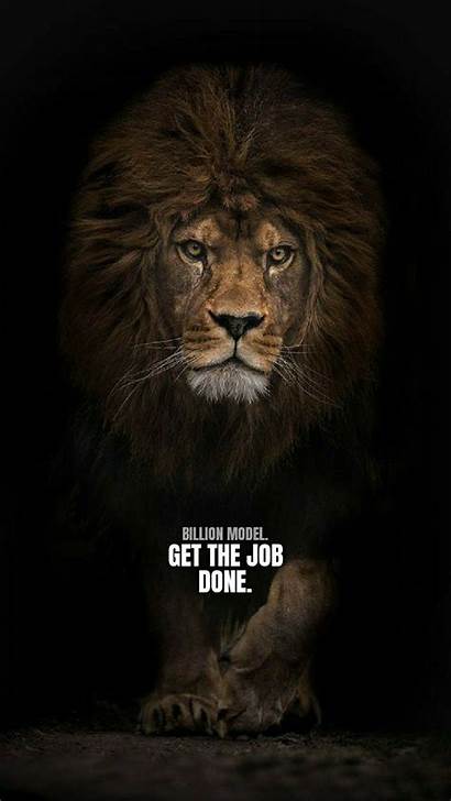 Lion Quotes Motivational Inspirational Wallpapers Motivation Job