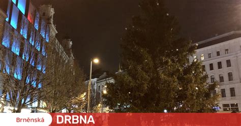 Brno Má Vysoký Vánoční Strom Smrk Přijel Na Náměstí Svobody Autem