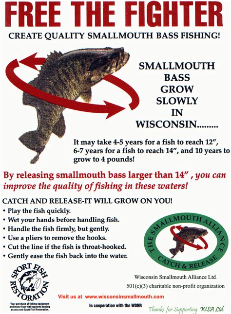 Northwoods Bass Fishing Adventures Wisconsin Dnr Information