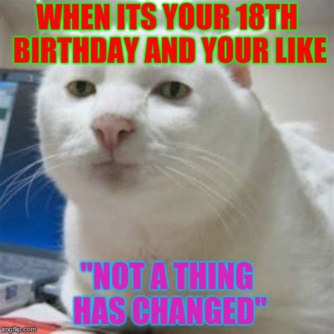 Happy 18th Birthday Memes Funny