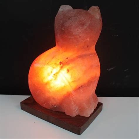 We have a new cat in our family. Animal salt lamps - Cat | Himalayan crystal salt lamp ...