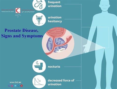 Signs Of Males S Prostate Health Problems And Ways To Handle And Treat It Properly In