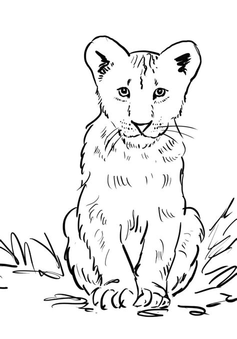 Lion Cub Coloring Page - Art Starts