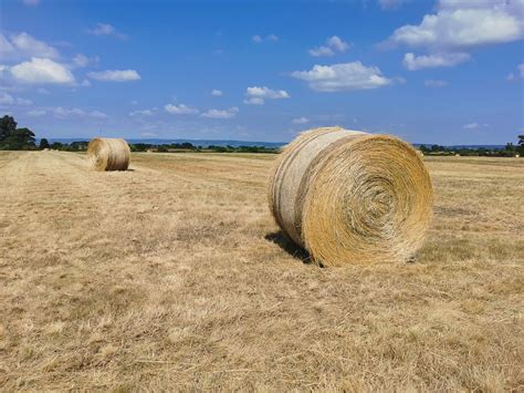 Bales Of Straw On The Field Free Stock Photo Public Domain Pictures
