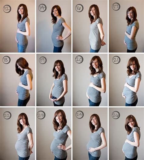 20 Weeks Pregnant First Baby Pregnancy Belly Gallery Pregnantbelly