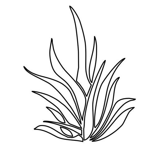 Please wait, the page is loading. Sea Plants Drawing at GetDrawings | Free download
