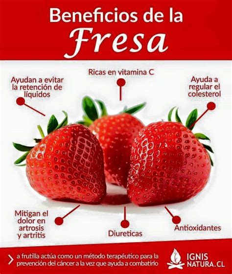 Beneficios De La Fresa Alimentos Que Curan Alimentos Saludables